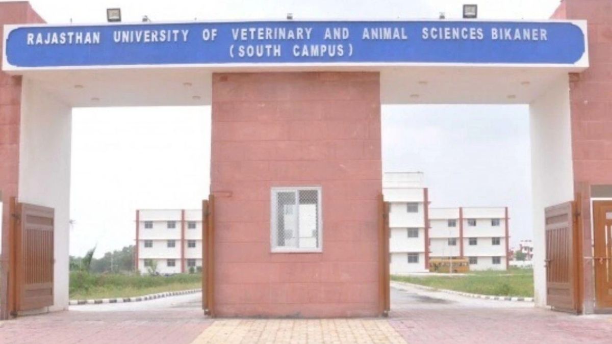 जयपुर, उदयपुर व बीकानेर में होगी वेटरनरी विश्वविद्यालय स्नातक प्रवेश परीक्षा 1 rajuvas