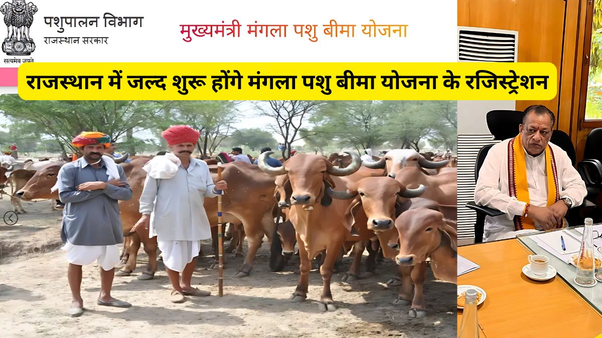 राजस्थान में जल्द शुरू होंगे मंगला पशु बीमा योजना के रजिस्ट्रेशन 1 Mangala Pashu Bima Yojana