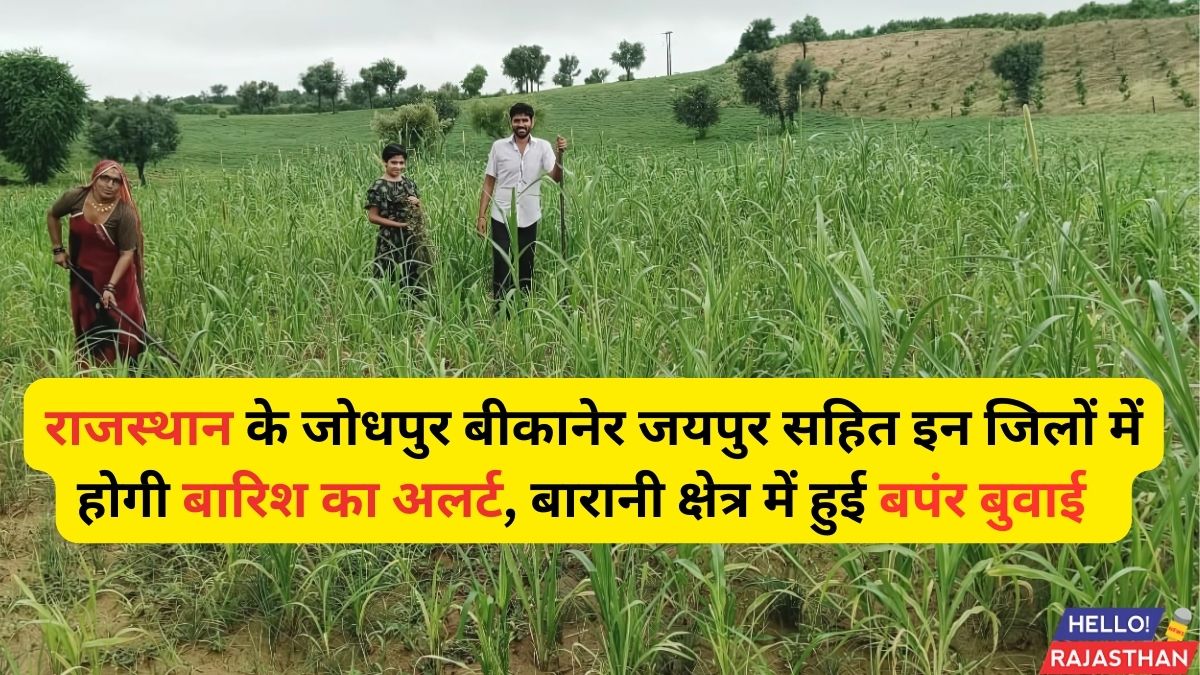 Rajasthan Weather Update, Weather Jaipur, Rajasthan Mausam, Mausam, Jaipur Weather, Weather Update, Weather, Heavy Rain Alert, Rajasthan Weather, IMD, Aaj ka mausam, Weather in Rajasthan, Today Weather in Rajasthan, Sowing, rainfed, rain alert,