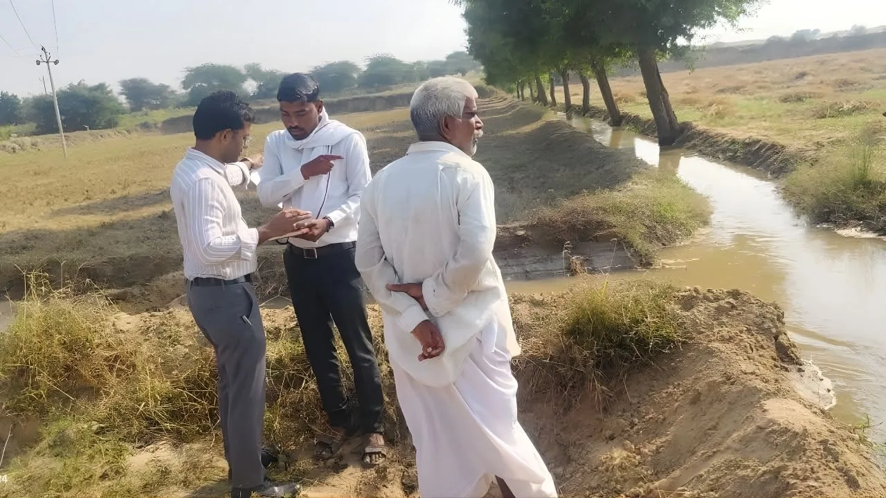 Bikaner Fake Girdawari, Sansardesar Farmers, Moongfali Crop Scam, Rajasthan Agriculture Fraud, Chhattargarh Tehsil News, Bikaner Farmers Demand Inquiry