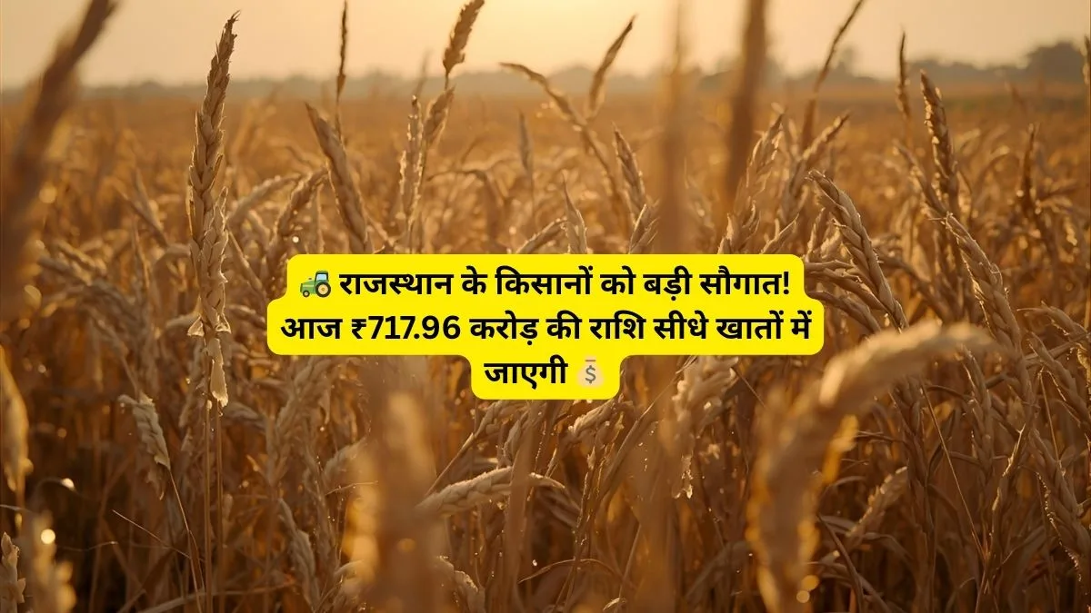 राजस्थान किसान सम्मान निधि, मुख्यमंत्री भजनलाल शर्मा, किसान सम्मान निधि किस्त, PM-Kisan Rajasthan, CM Kisan Nidhi 2025, भरतपुर किसान योजना, राजस्थान कृषि समाचार, गौतम कुमार दक, किसान योजना डीबीटी