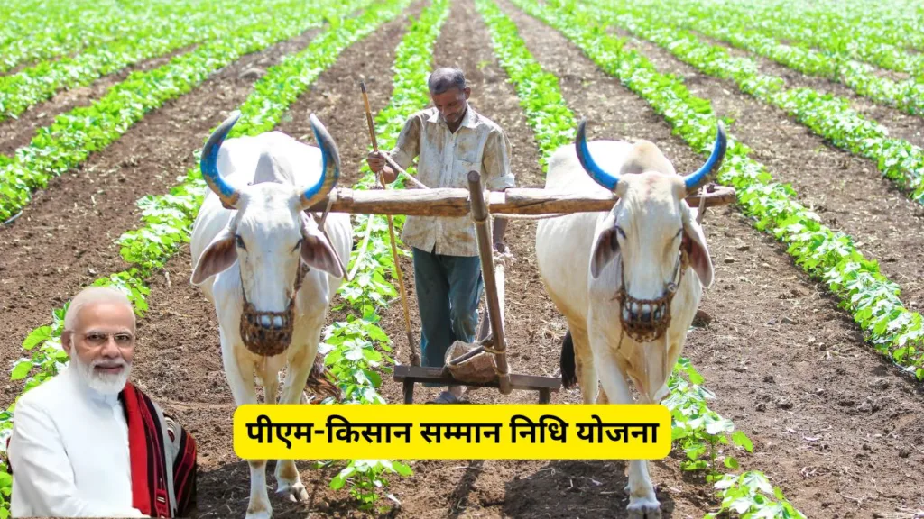 PM Kisan अपडेट: 21वीं किस्त 19 नवंबर को आएगी, e-KYC तुरंत पूरा करें 1 Copy of Copy of Copy of Horoscope 2025 2